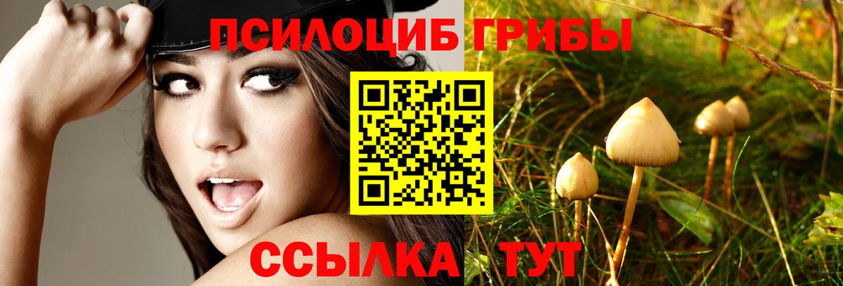 Альметьевск  Псилоцибиновые грибы прущие грибы  Вход с VPN 